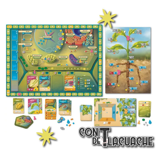 Cellulose; Un Juego de Biologia Celular Vegetal | Mas Que Oca - Con T de Tlacuache - Mas Que Oca