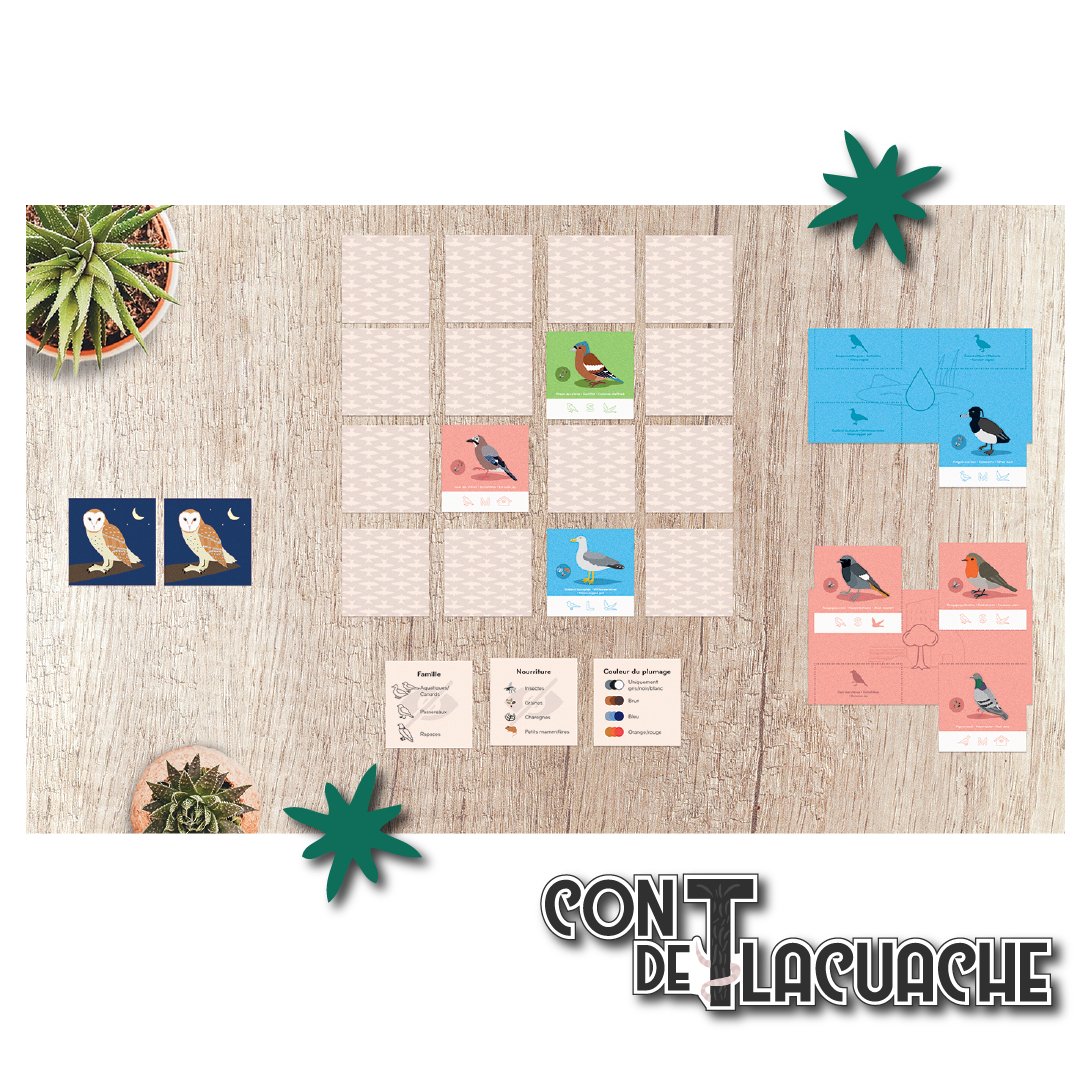 Fly Home! | Fun by Nature - Con T de Tlacuache - Fun by Nature