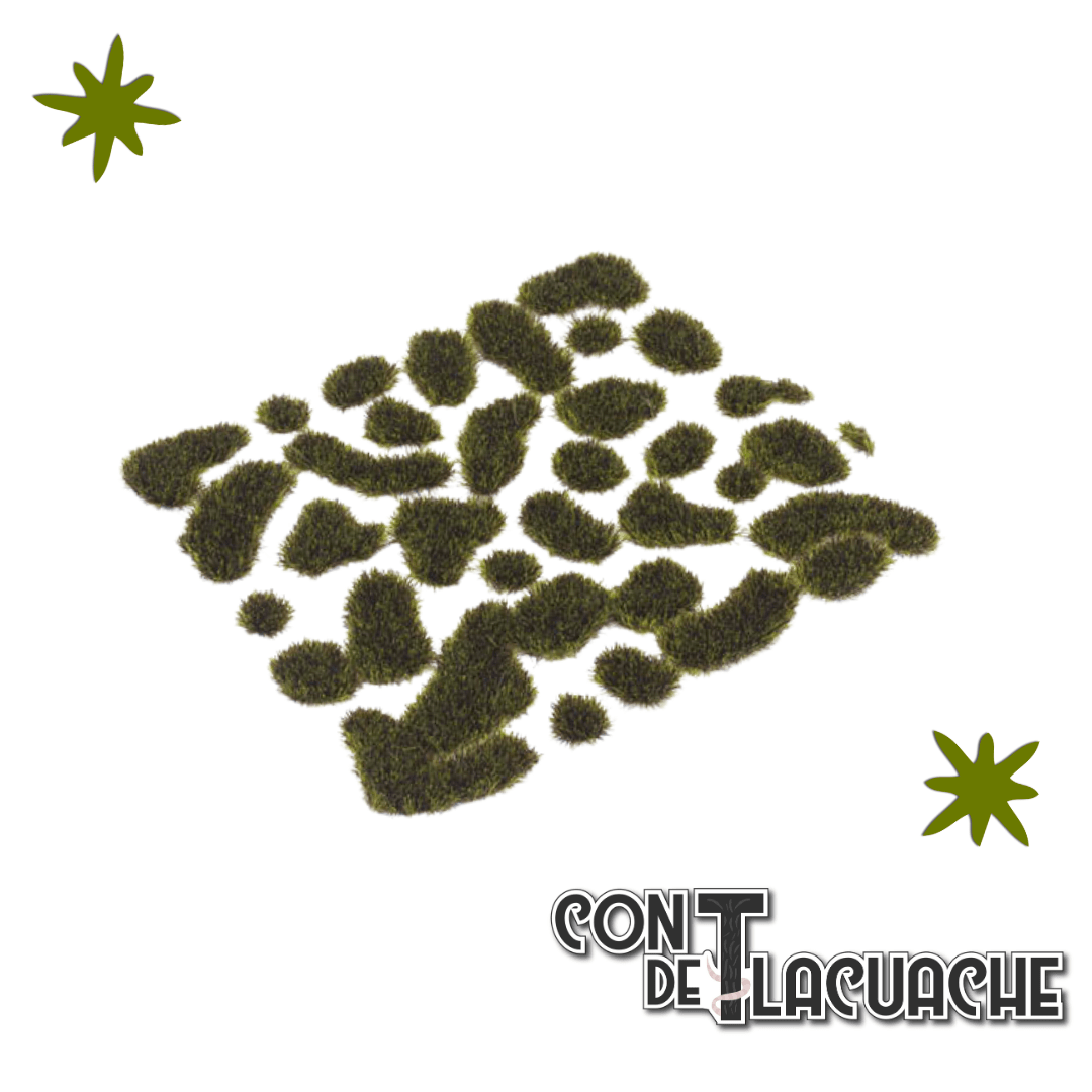 Wild Dark Moss Small | Vallejo - Con T de Tlacuache - Vallejo