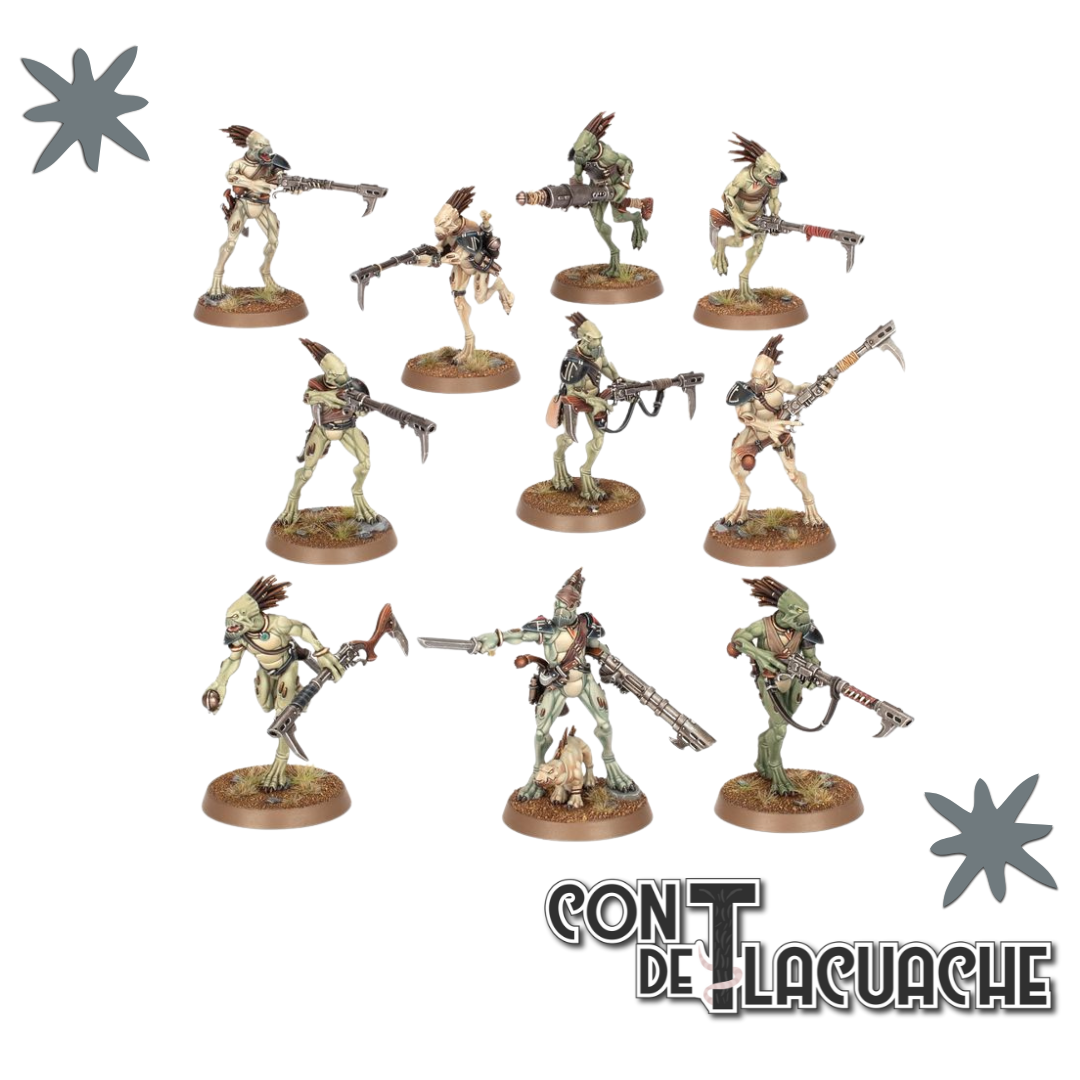 T'Au Empire: Kroot Carnivore Squad | Games Workshop