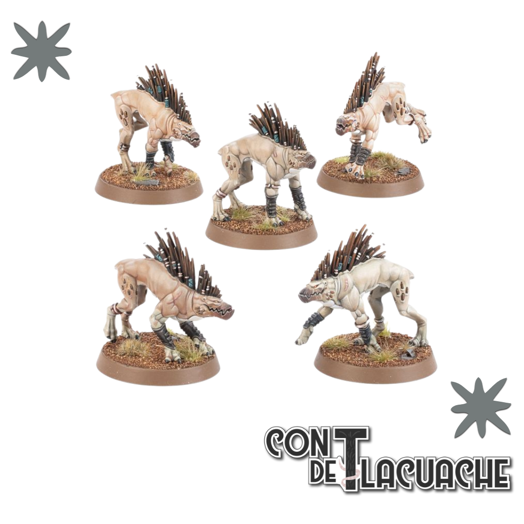 T'Au Empire: Kroot Hounds | Games Workshop