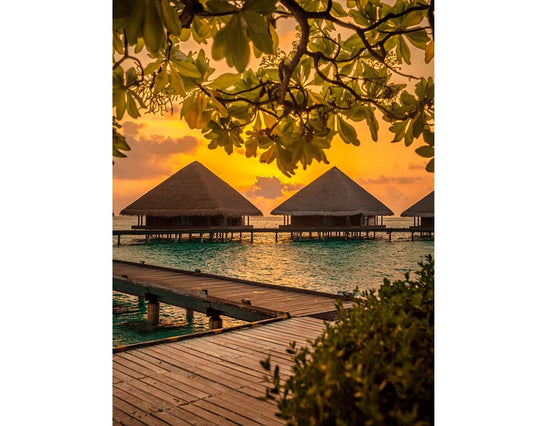 Maldivas NOIR Collection 500 piezas | Buffalo Games - Con T de Tlacuache - Buffalo Games