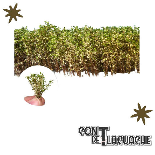 Matorral Alto / Tall Shrubbery - White/Green | Green Stuff World - Con T de Tlacuache - Green Stuff World