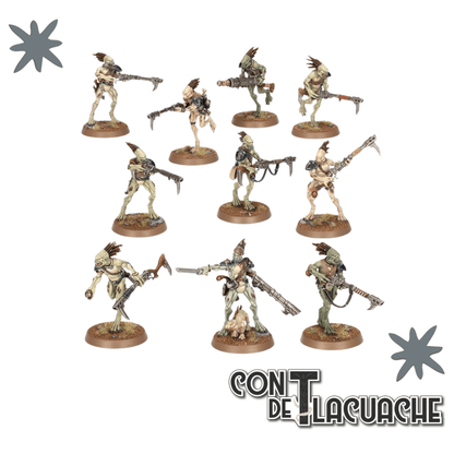 T'Au Empire: Kroot Carnivore Squad | Games Workshop - Con T de Tlacuache - Games Workshop