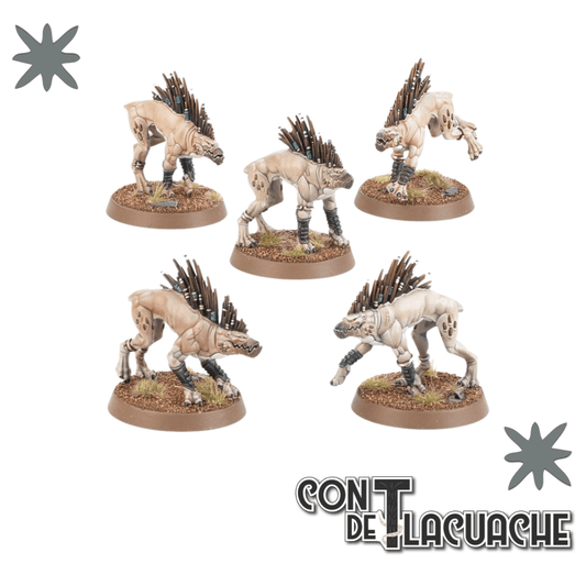 T'Au Empire: Kroot Hounds | Games Workshop - Con T de Tlacuache - Games Workshop