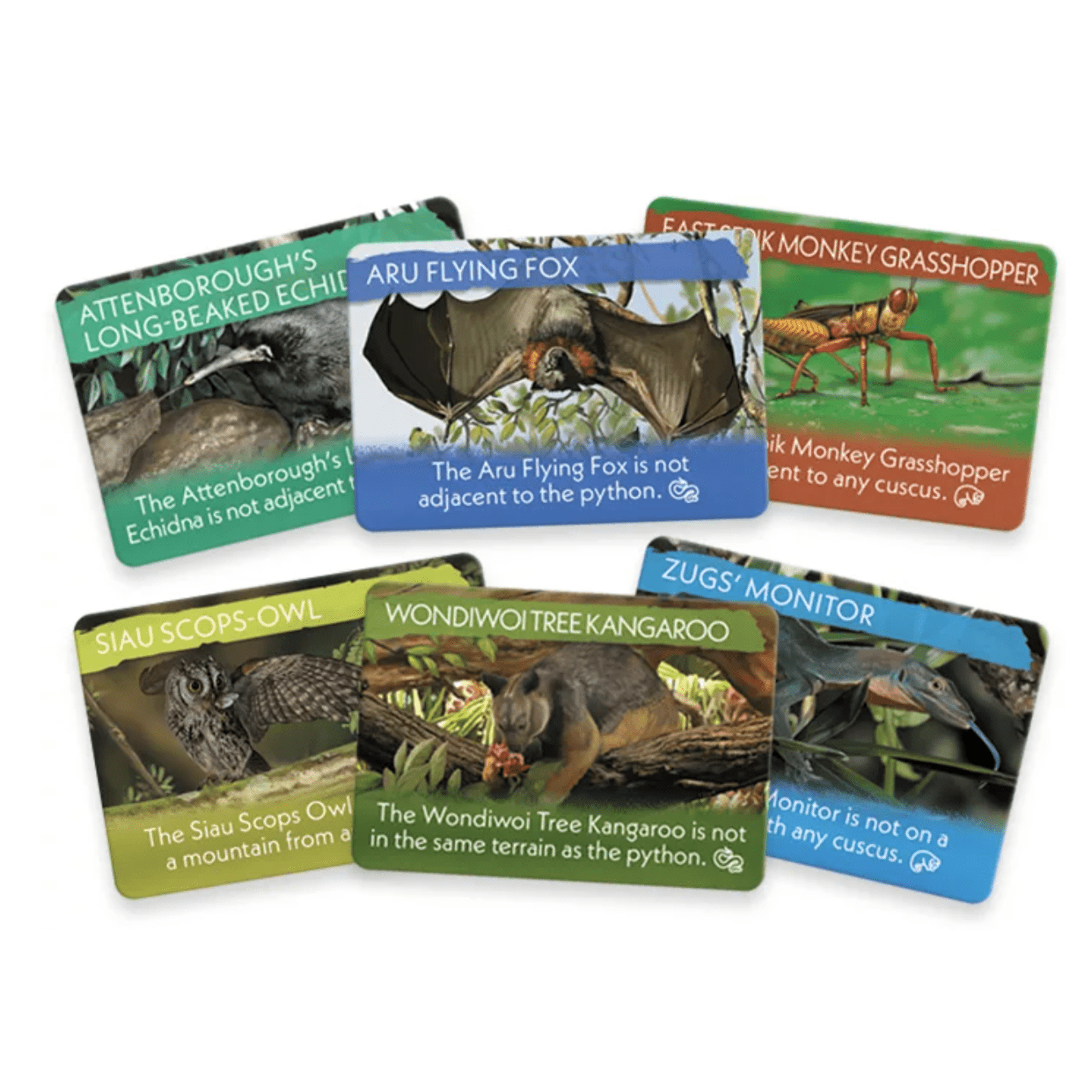 The Search for Lost Species | Renegade Studios - Con T de Tlacuache - Renegade