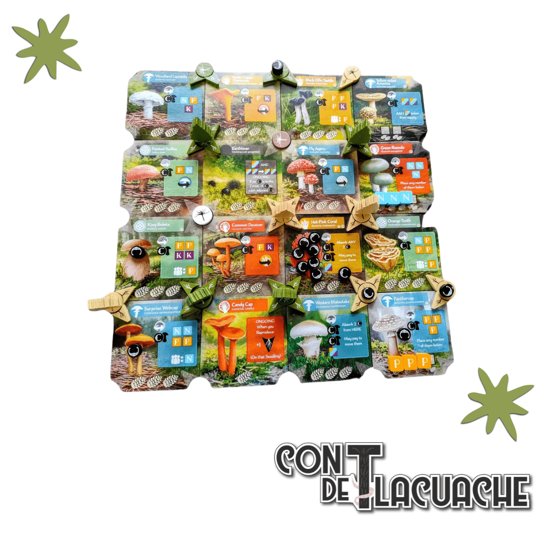 Undergrove | AEG - Con T de Tlacuache - Con T de Tlacuache