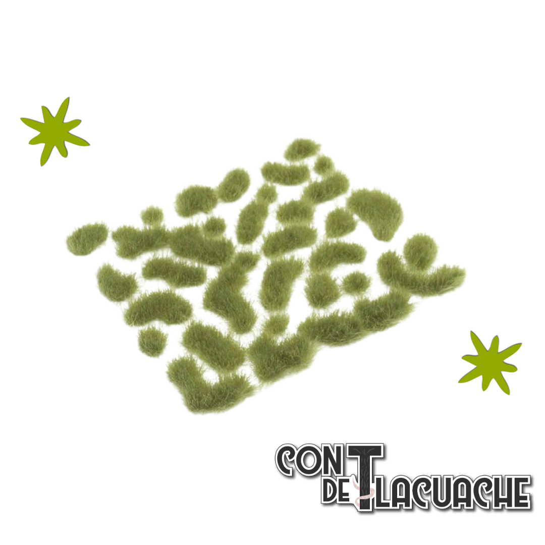 Wild Tuft Green Medium | Vallejo - Con T de Tlacuache - Vallejo