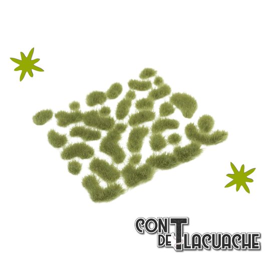 Wild Tuft Green Medium | Vallejo - Con T de Tlacuache - Vallejo